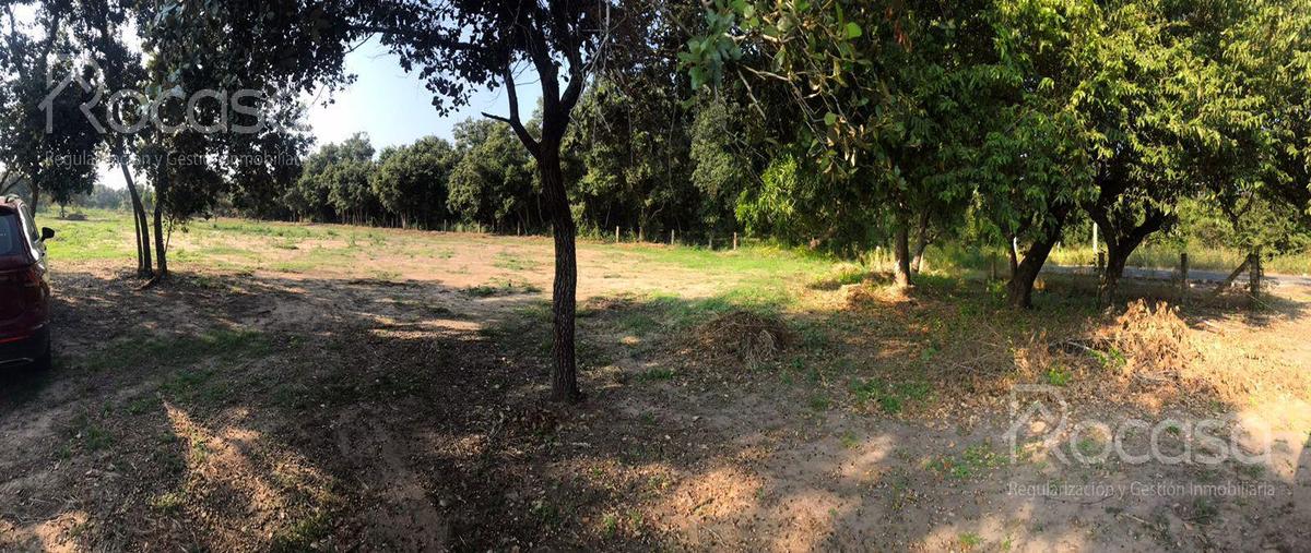 Foto de terreno habitacional en venta en  , pueblo viejo, tihuatlán, veracruz de ignacio de la llave, 0 No. 04