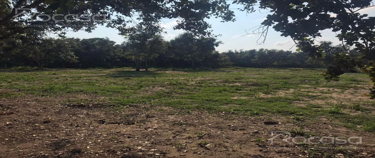 Foto de terreno habitacional en venta en  , pueblo viejo, tihuatlán, veracruz de ignacio de la llave, 0 No. 05