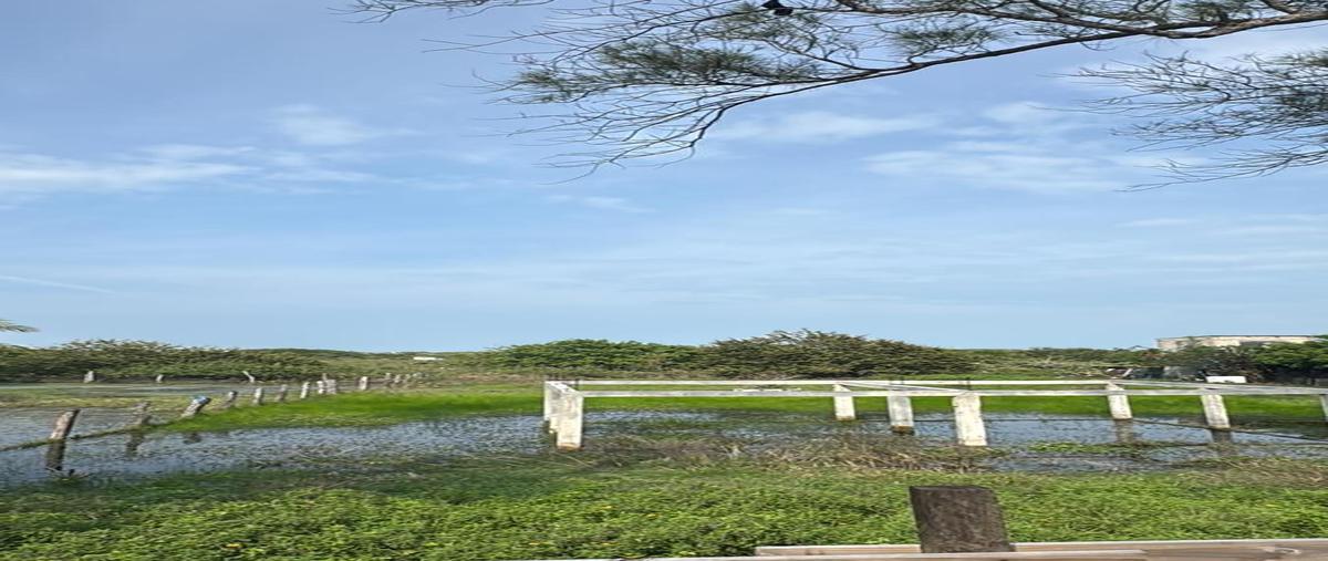 Foto de terreno habitacional en venta en  , pueblo viejo, tihuatlán, veracruz de ignacio de la llave, 0 No. 03