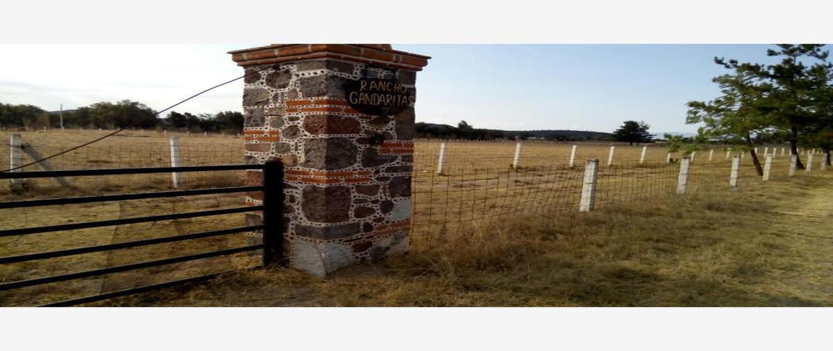 Foto de rancho en venta en pueblo zempoala 0, zempoala centro, zempoala, hidalgo, 8593958 No. 02