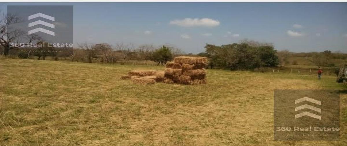 Foto de terreno habitacional en venta en  , pueblos mágicos, veracruz, veracruz de ignacio de la llave, 29347647 No. 03