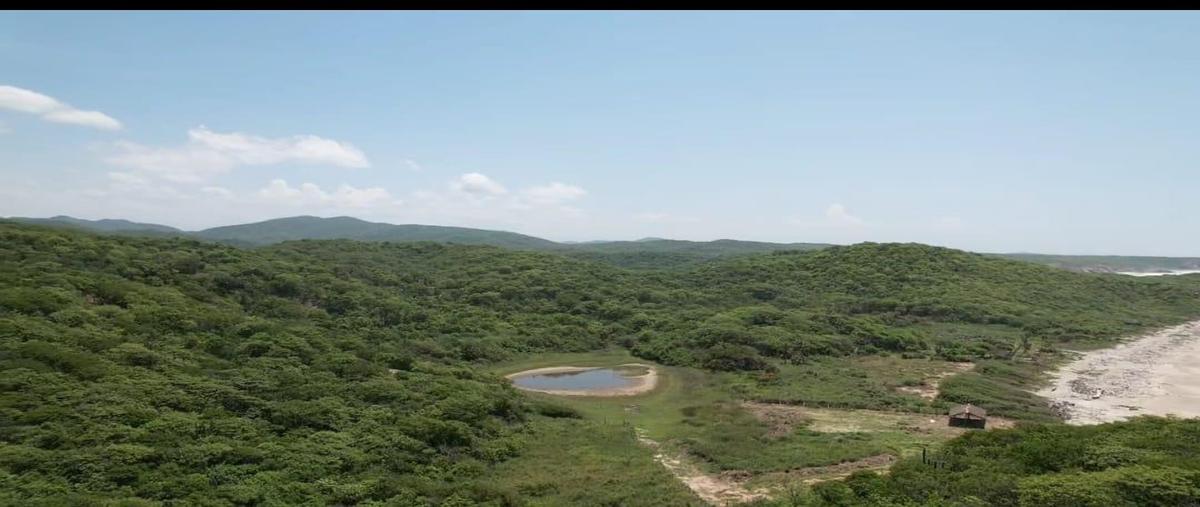 Foto de terreno habitacional en venta en  , puente copalita, santa maría huatulco, oaxaca, 0 No. 04