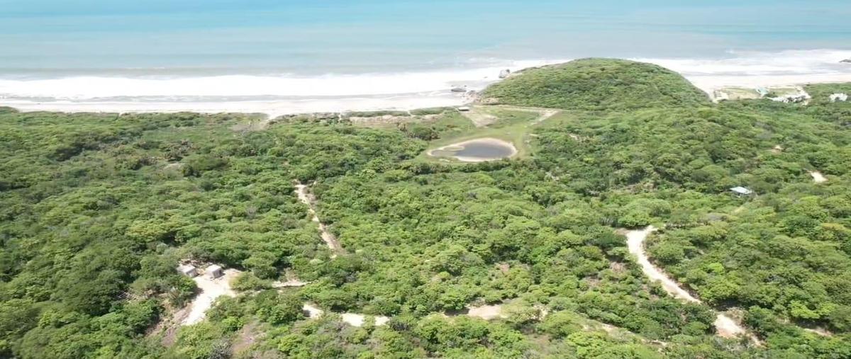 Foto de terreno habitacional en venta en  , puente copalita, santa maría huatulco, oaxaca, 0 No. 05