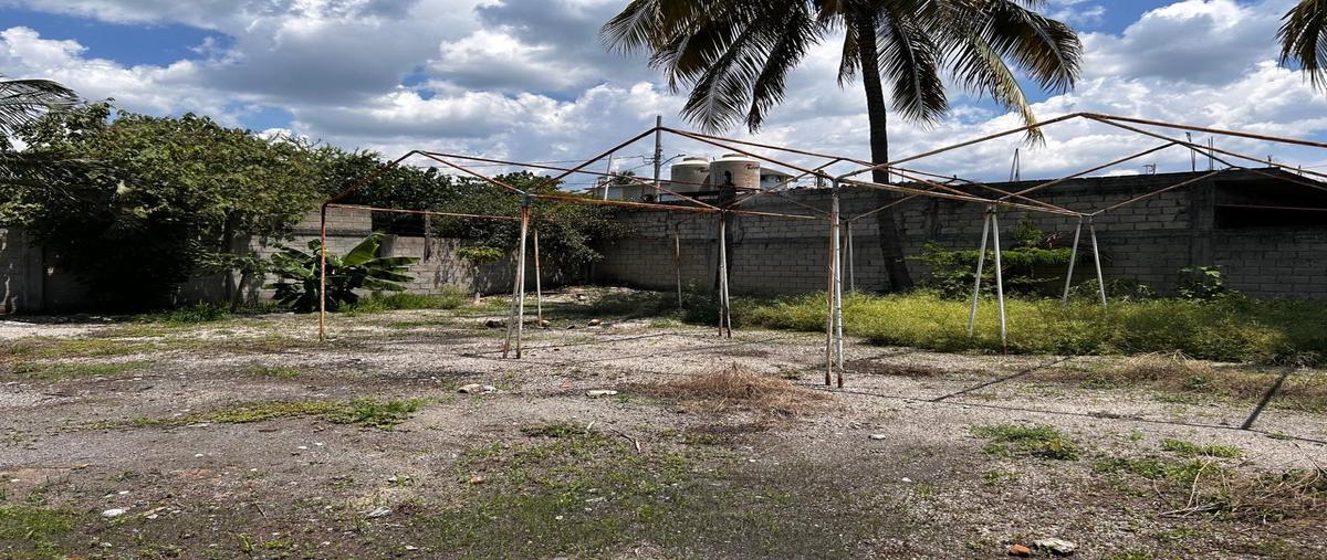 Foto de terreno habitacional en renta en  , puente de ixtla centro, puente de ixtla, morelos, 0 No. 03