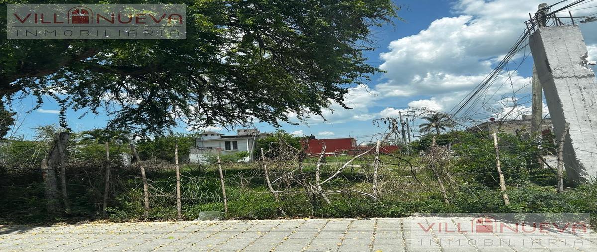 Foto de terreno habitacional en renta en  , puente de ixtla centro, puente de ixtla, morelos, 29967056 No. 05