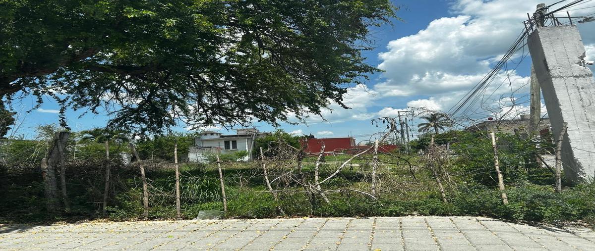 Foto de terreno habitacional en renta en  , puente de ixtla centro, puente de ixtla, morelos, 0 No. 05