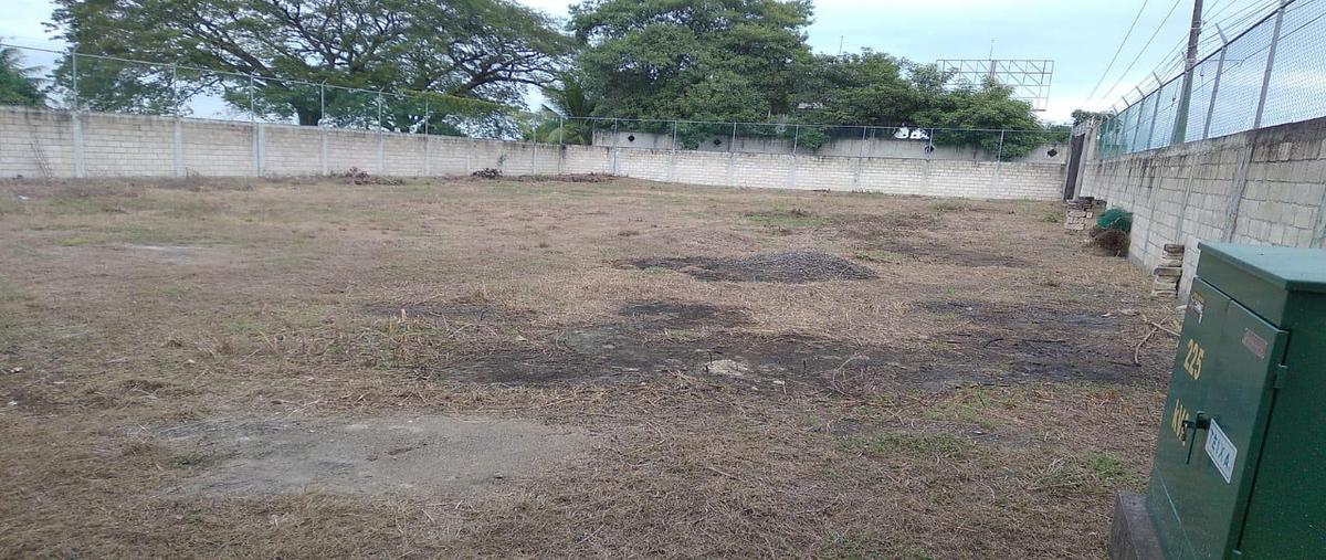 Foto de bodega en venta en  , puente nacional, puente nacional, veracruz de ignacio de la llave, 0 No. 04