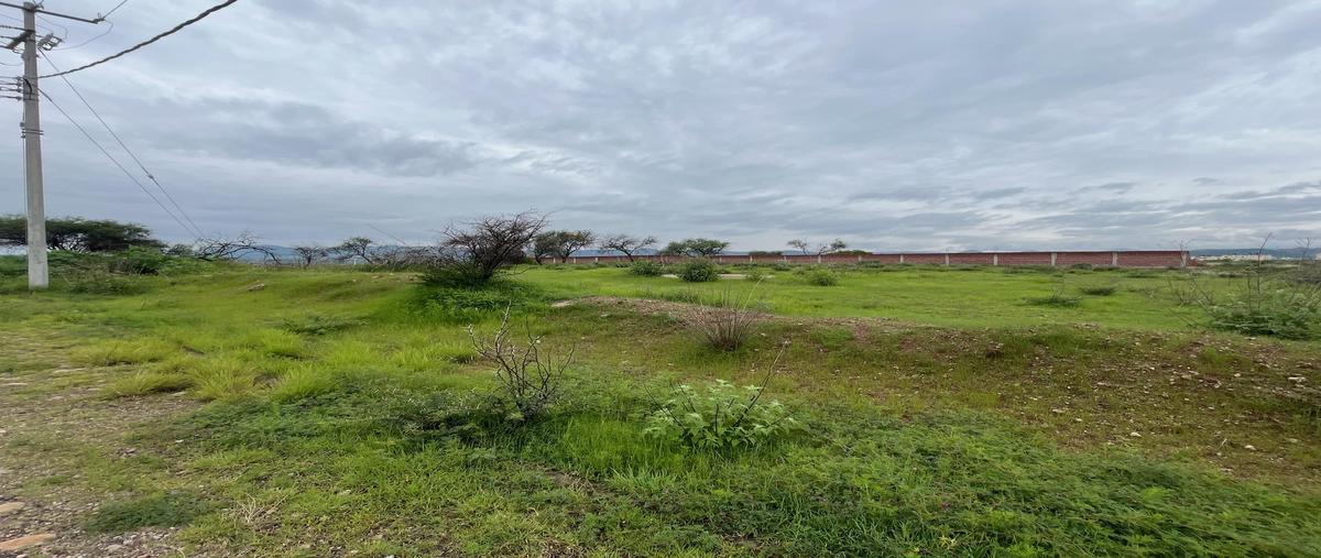 Foto de terreno habitacional en venta en  , puentecillas, guanajuato, guanajuato, 30281091 No. 04