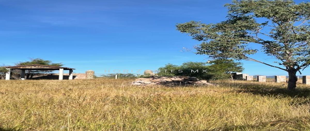 Foto de terreno habitacional en venta en puentecillas , yerbabuena, guanajuato, guanajuato, 25912932 No. 03