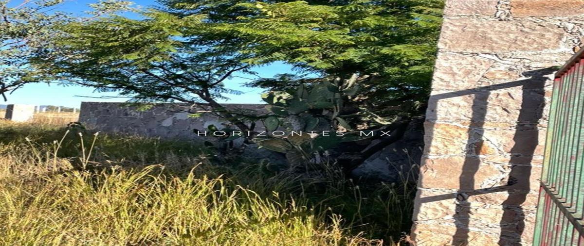 Foto de terreno habitacional en venta en puentecillas , yerbabuena, guanajuato, guanajuato, 25912932 No. 04