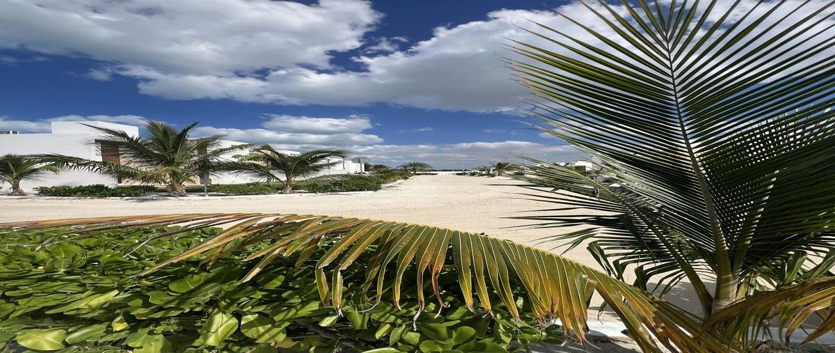 Foto de terreno habitacional en venta en puerta azul , chelem, progreso, yucatán, 0 No. 04