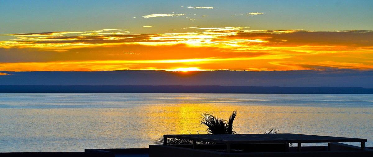 Foto de departamento en venta en puerta cortes , puerto de pichilingue, la paz, baja california sur, 0 No. 05