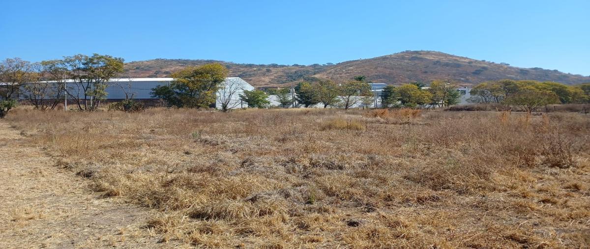 Foto de terreno habitacional en venta en  , puerta de jauja, tonalá, jalisco, 0 No. 03