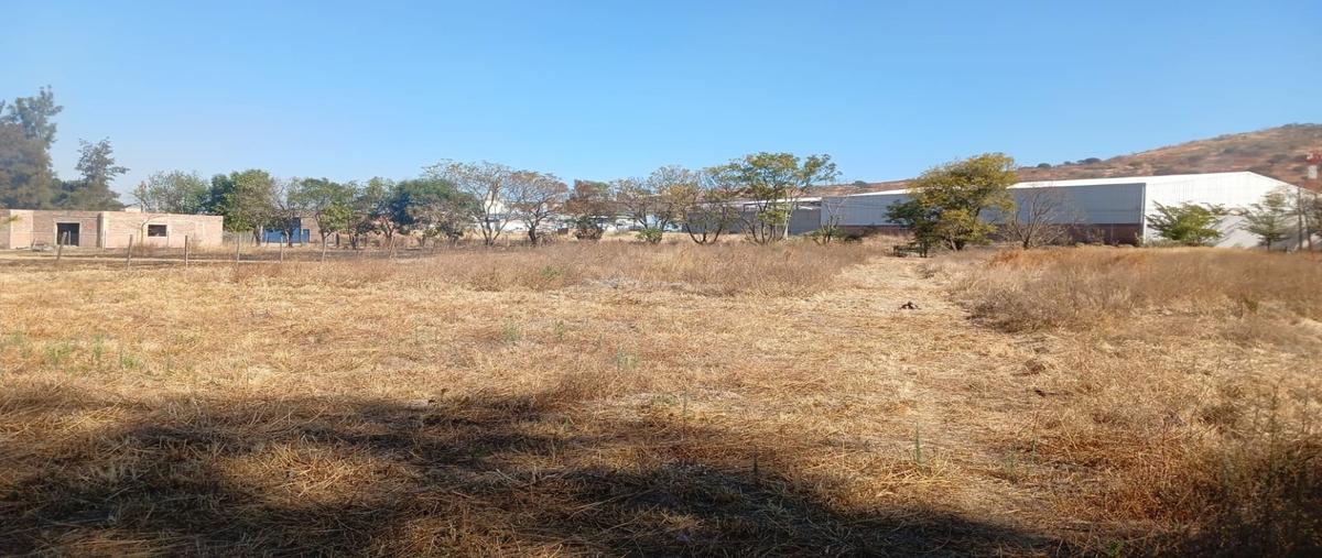 Foto de terreno habitacional en venta en  , puerta de jauja, tonalá, jalisco, 0 No. 05