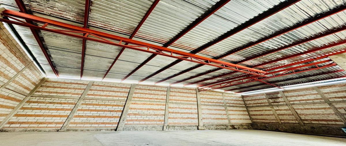 Foto de bodega en renta en  , puerta de palmillas, san juan del río, querétaro, 0 No. 03