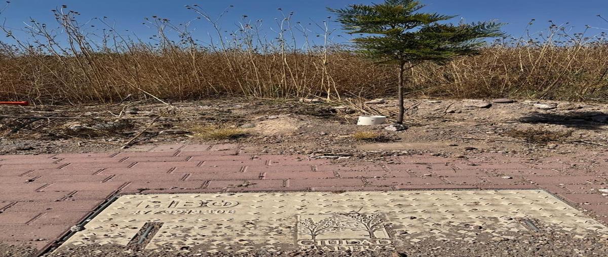 Foto de terreno habitacional en venta en  , puerta de san rafael, corregidora, querétaro, 0 No. 03