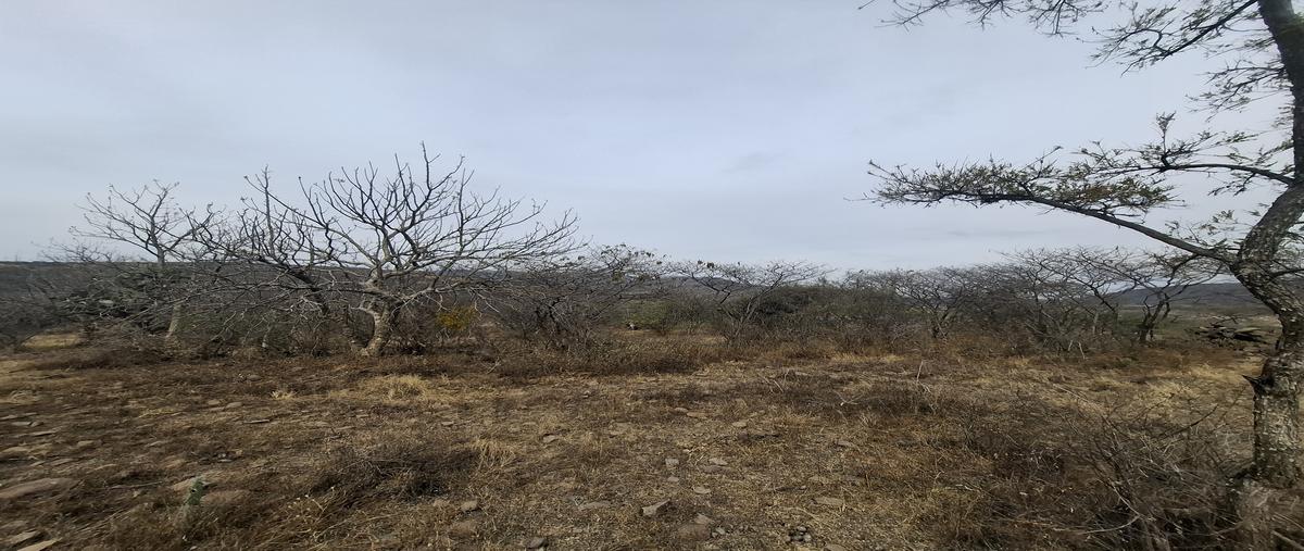 Foto de rancho en venta en puerta del aire , puerta del aire, san miguel de allende, guanajuato, 0 No. 05