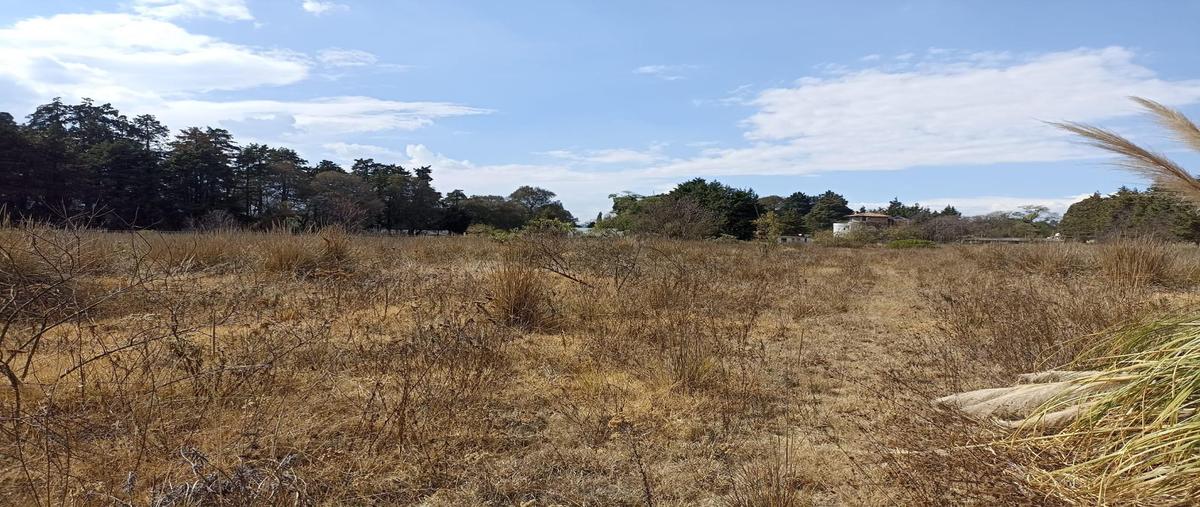Foto de terreno habitacional en , puerta del carmen, ocoyoacac, méxico, 0 foto 04 Foto de terreno habitacional en venta en , puerta del carmen, ocoyoacac, méxico, 0 No. 04