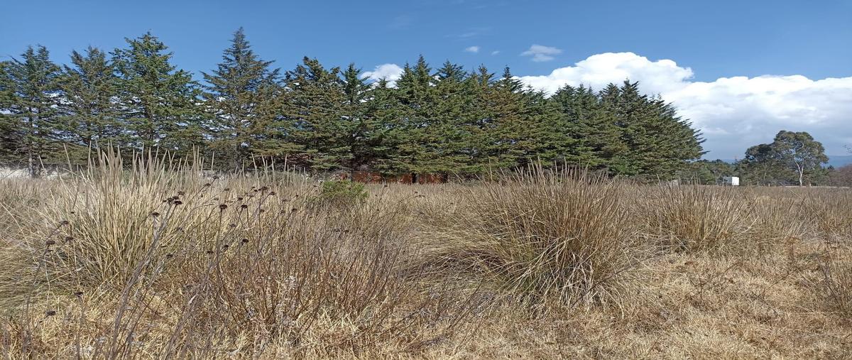 Foto de terreno habitacional en , puerta del carmen, ocoyoacac, méxico, 0 foto 05 Foto de terreno habitacional en venta en , puerta del carmen, ocoyoacac, méxico, 0 No. 05