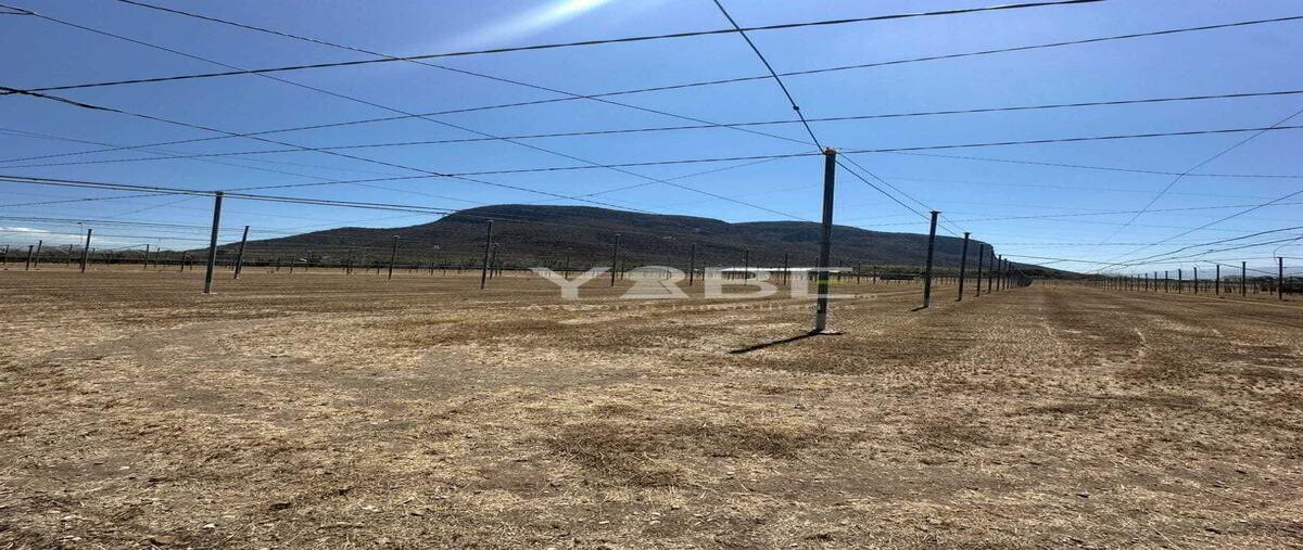 Foto de terreno habitacional en venta en puerta del petacal , toliman, tolimán, jalisco, 0 No. 04