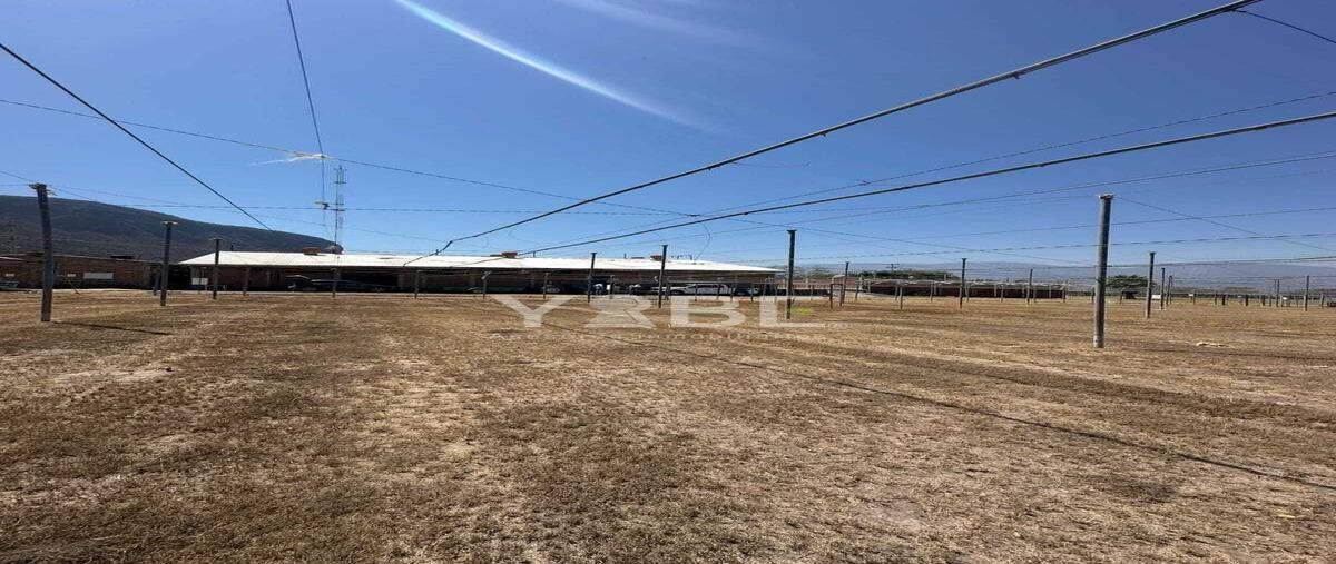 Foto de terreno habitacional en venta en puerta del petacal , toliman, tolimán, jalisco, 0 No. 05