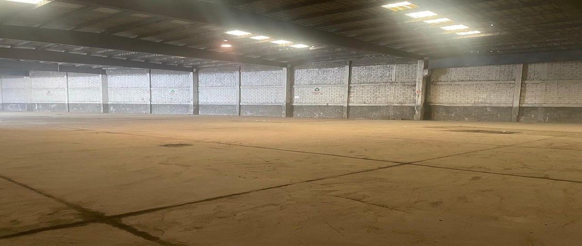 Foto de bodega en renta en  , puerta del sol, santa catarina, nuevo león, 0 No. 04