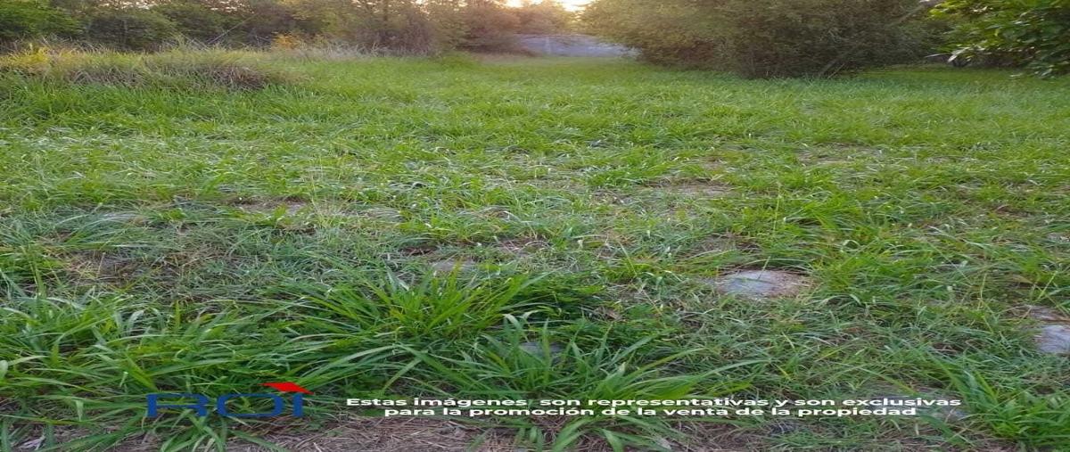 Foto de terreno habitacional en venta en puerta dorada , el barranquito, cadereyta jiménez, nuevo león, 0 No. 02