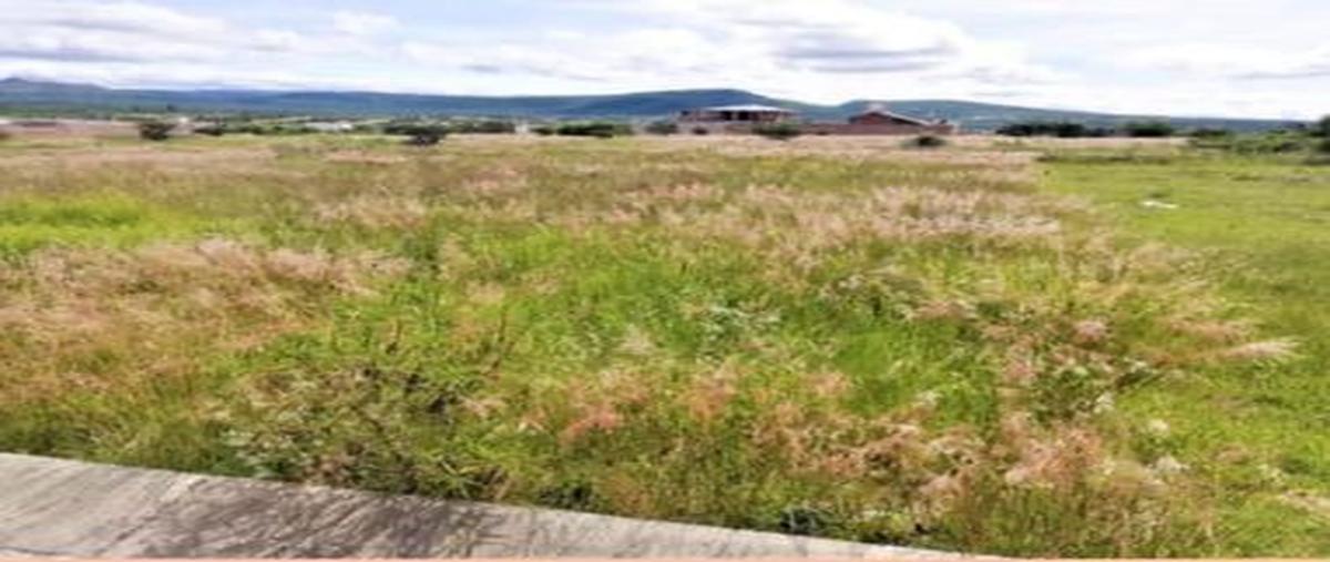 Foto de terreno habitacional en venta en puertaluna , ciudad maderas, lagos de moreno, jalisco, 0 No. 01