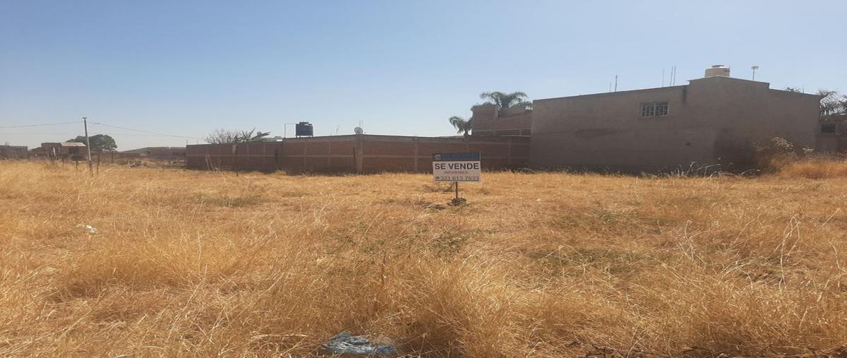 Foto de terreno habitacional en puerto acapulco 0, la cruz (ciudad perdida loma de la cruz), zapotlanejo, jalisco, 23796635 foto 02 Foto de terreno habitacional en venta en puerto acapulco 0, la cruz (ciudad perdida loma de la cruz), zapotlanejo, jalisco, 23796635 No. 02