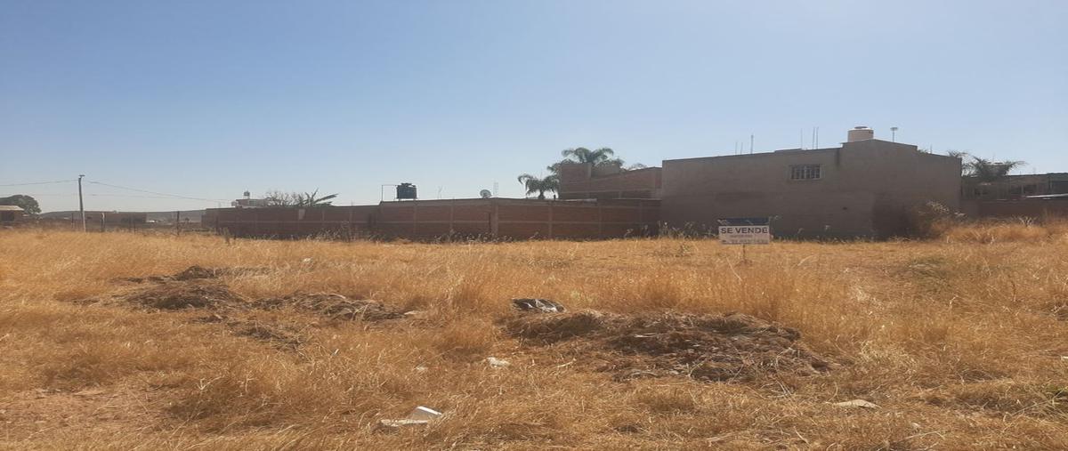 Foto de terreno habitacional en puerto acapulco 0, la cruz (ciudad perdida loma de la cruz), zapotlanejo, jalisco, 23796635 foto 05 Foto de terreno habitacional en venta en puerto acapulco 0, la cruz (ciudad perdida loma de la cruz), zapotlanejo, jalisco, 23796635 No. 05