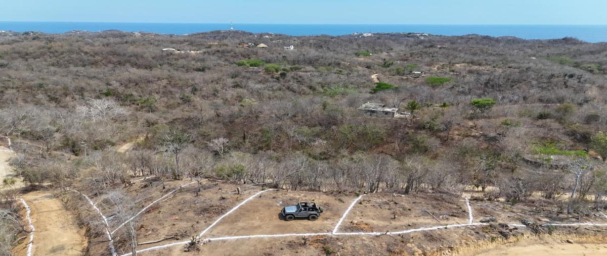 Foto de terreno habitacional en venta en  , puerto angel, san pedro pochutla, oaxaca, 0 No. 03
