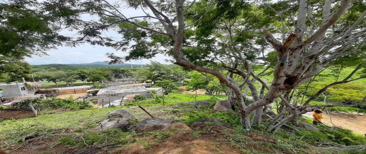 Foto de terreno habitacional en venta en  , puerto angel, san pedro pochutla, oaxaca, 0 No. 03