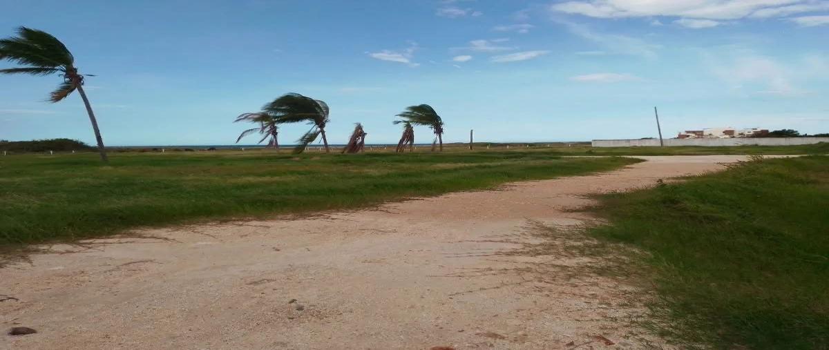 Foto de terreno habitacional en venta en  , puerto arista, tonalá, chiapas, 0 No. 04