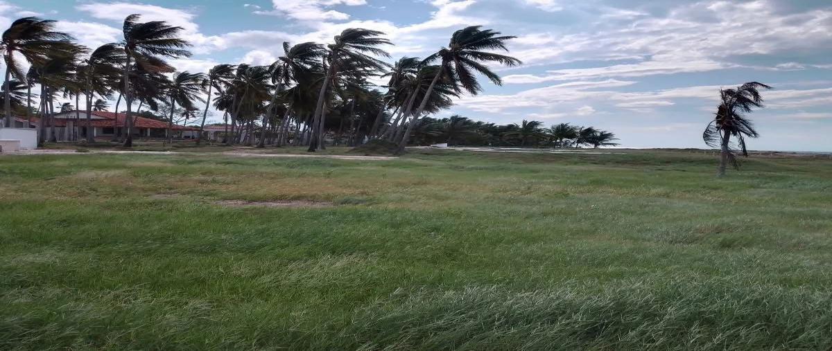 Foto de terreno habitacional en venta en  , puerto arista, tonalá, chiapas, 0 No. 05