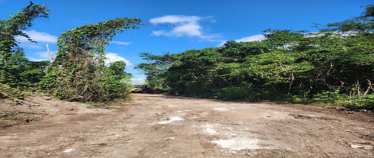 Foto de terreno habitacional en , puerto aventuras, solidaridad, quintana roo, 25074699 foto 03 Foto de terreno habitacional en venta en , puerto aventuras, solidaridad, quintana roo, 25074699 No. 03
