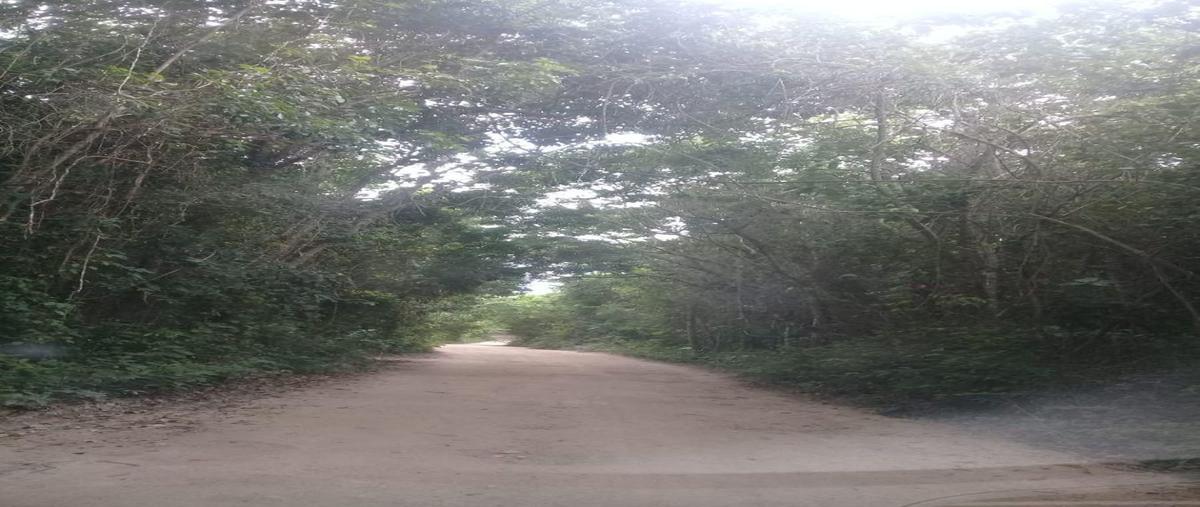 Foto de terreno habitacional en venta en  , puerto aventuras, solidaridad, quintana roo, 0 No. 03