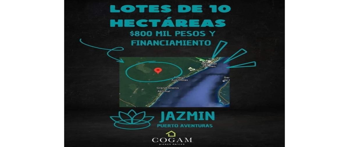 Foto de terreno habitacional en , puerto aventuras, solidaridad, quintana roo, 0 foto 05 Foto de terreno habitacional en venta en , puerto aventuras, solidaridad, quintana roo, 0 No. 05