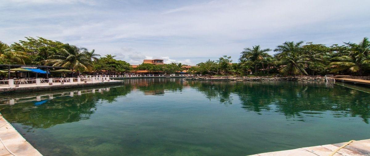 Foto de terreno habitacional en venta en  , puerto aventuras, solidaridad, quintana roo, 28785072 No. 09