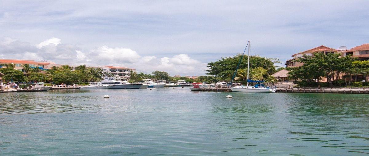 Foto de terreno habitacional en venta en  , puerto aventuras, solidaridad, quintana roo, 28785072 No. 13