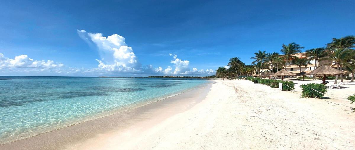 Foto de departamento en venta en  , puerto aventuras, solidaridad, quintana roo, 0 No. 05