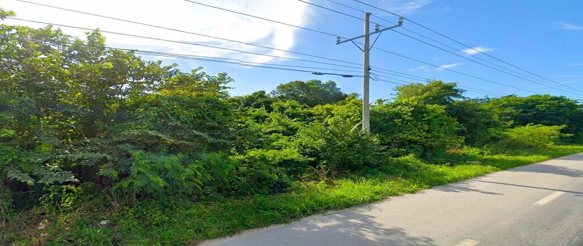 Foto de terreno comercial en , puerto aventuras, solidaridad, quintana roo, 0 foto 01 Foto de terreno comercial en venta en , puerto aventuras, solidaridad, quintana roo, 0 No. 01