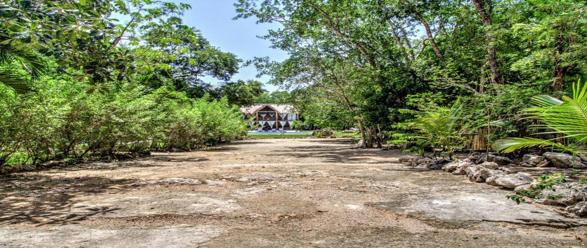Foto de rancho en venta en  , puerto aventuras, solidaridad, quintana roo, 30368657 No. 04