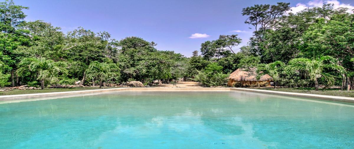 Foto de rancho en venta en  , puerto aventuras, solidaridad, quintana roo, 30368657 No. 05
