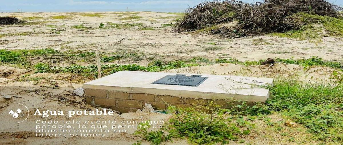 Foto de terreno habitacional en venta en puerto , bajos de chila, san pedro mixtepec -dto. 22 -, oaxaca, 28819039 No. 03