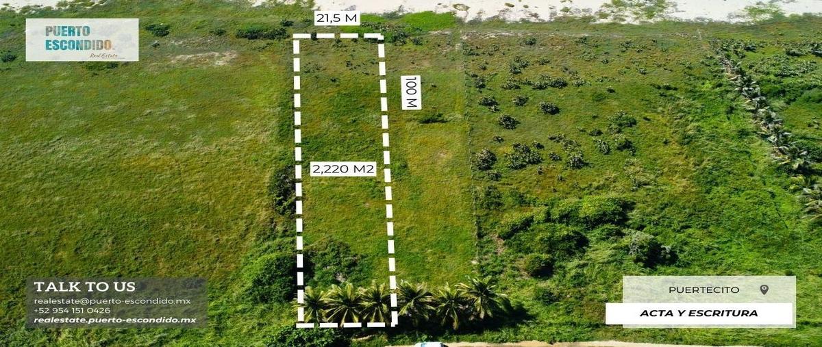 Foto de terreno habitacional en venta en puerto , barra de navidad, santa maría colotepec, oaxaca, 28819022 No. 05