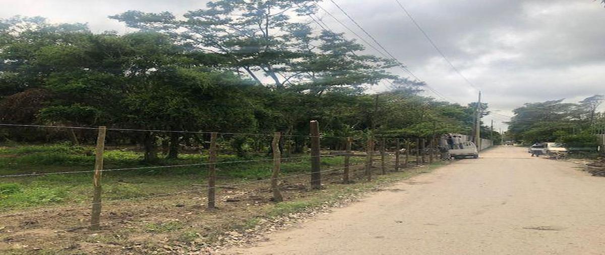Foto de terreno habitacional en , puerto ceiba (carrizal), paraíso, tabasco, 6825049 foto 03 Foto de terreno habitacional en venta en , puerto ceiba (carrizal), paraíso, tabasco, 6825049 No. 03