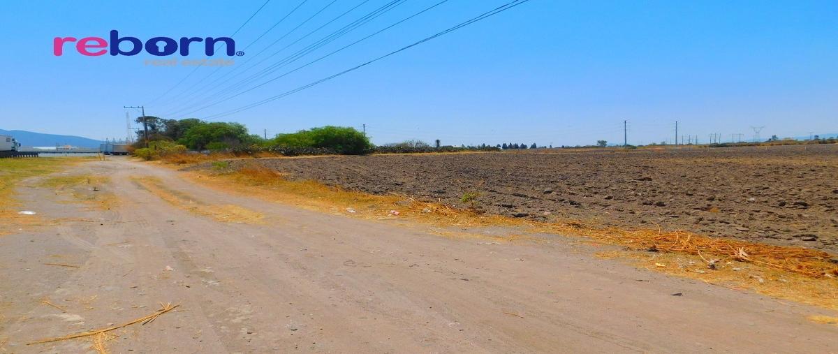 Foto de terreno habitacional en venta en puerto de carroza, san josé iturbide, guanajuato , puerto de carroza, san josé iturbide, guanajuato, 16487247 No. 04
