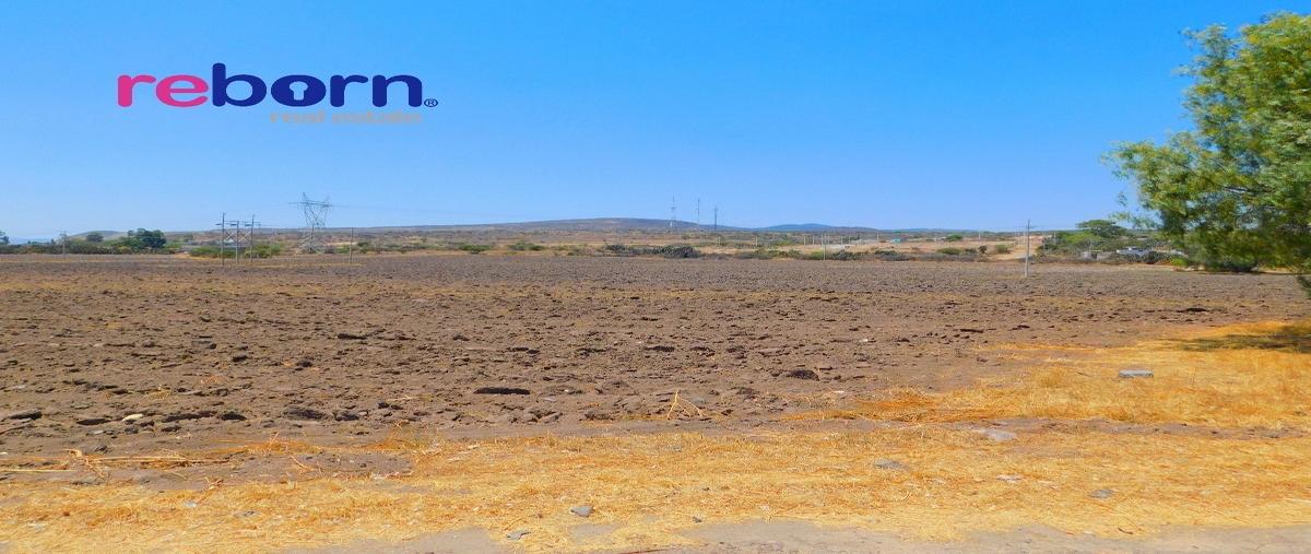 Foto de terreno habitacional en venta en puerto de carroza, san josé iturbide, guanajuato , puerto de carroza, san josé iturbide, guanajuato, 16487247 No. 05