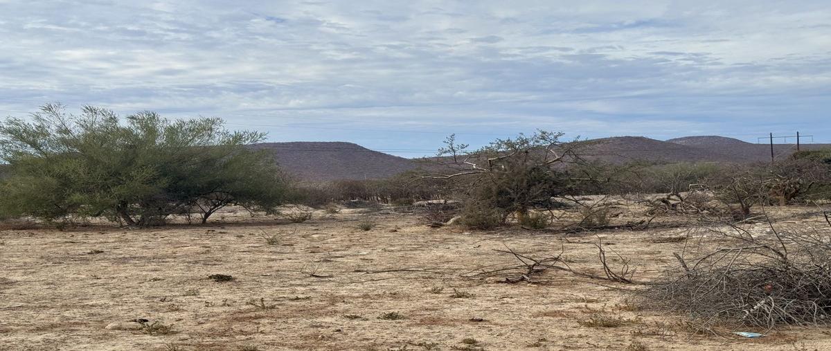 Foto de terreno habitacional en venta en  , puerto de pichilingue, la paz, baja california sur, 0 No. 02