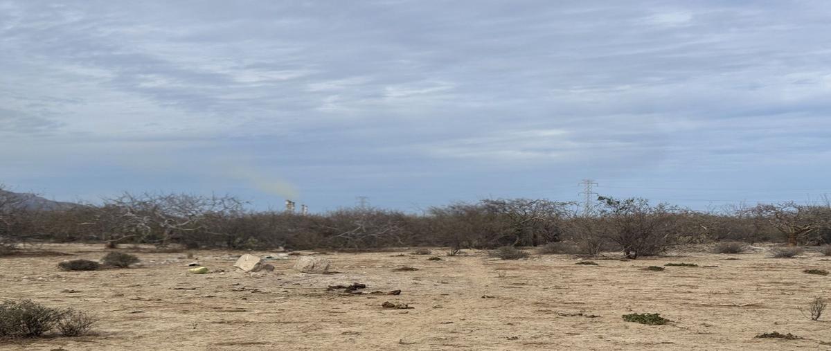 Foto de terreno habitacional en venta en  , puerto de pichilingue, la paz, baja california sur, 0 No. 03